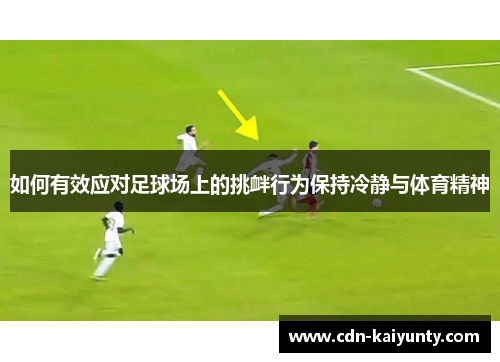 如何有效应对足球场上的挑衅行为保持冷静与体育精神