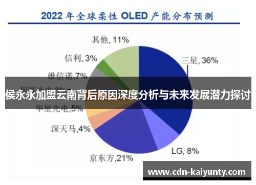 侯永永加盟云南背后原因深度分析与未来发展潜力探讨