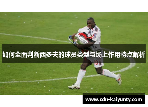 如何全面判断西多夫的球员类型与场上作用特点解析