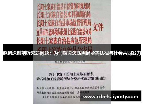 赵鹏深刻剖析欠薪问题：为何解决欠薪困局亟需法律与社会共同发力
