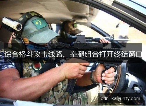 综合格斗攻击线路，拳腿组合打开终结窗口